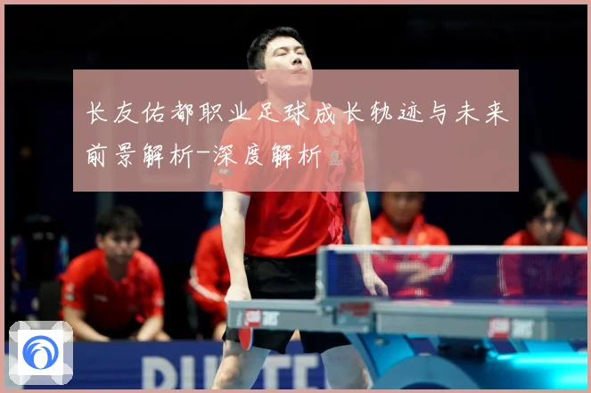 长友佑都职业足球成长轨迹与未来前景解析-深度解析